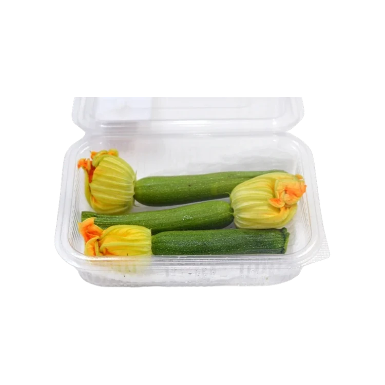 Freshbury Baby Zucchini with flowers