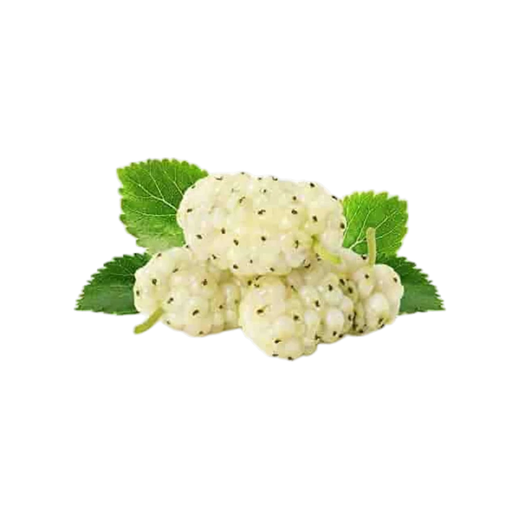 Green Mulberry (Shahtoot)