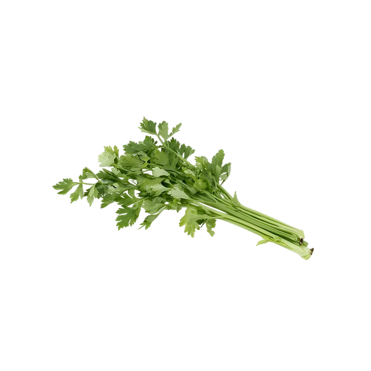 Celery - Hydroponically Grown
