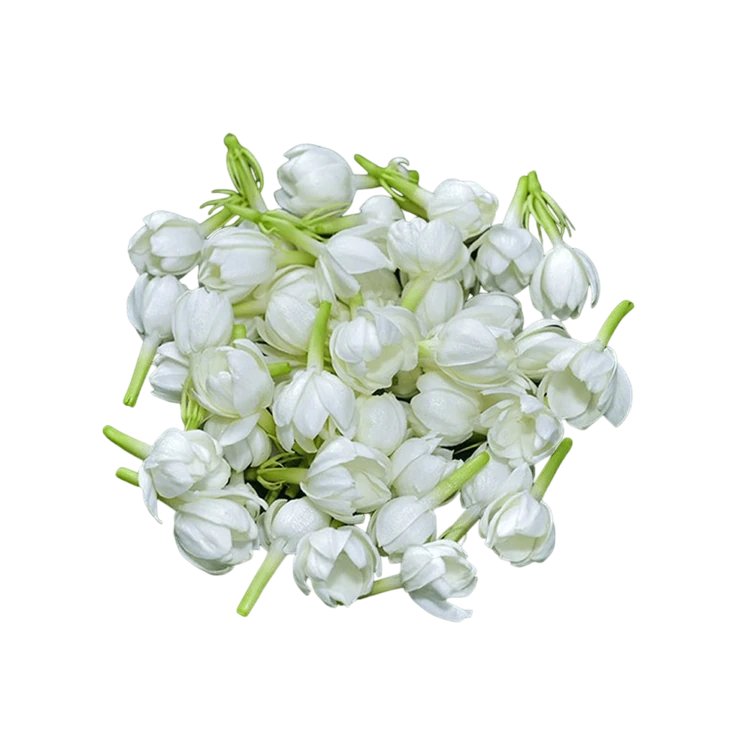 CC Jasmine Flowers by Freshbury (Hoovu)