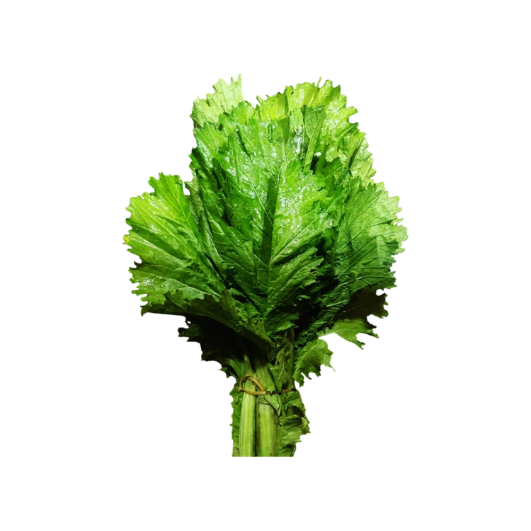 Green Mustard Leaves