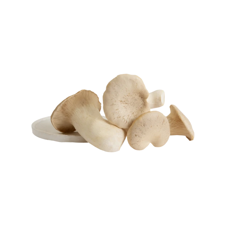 King Trumpet Mushroom (Anabe)