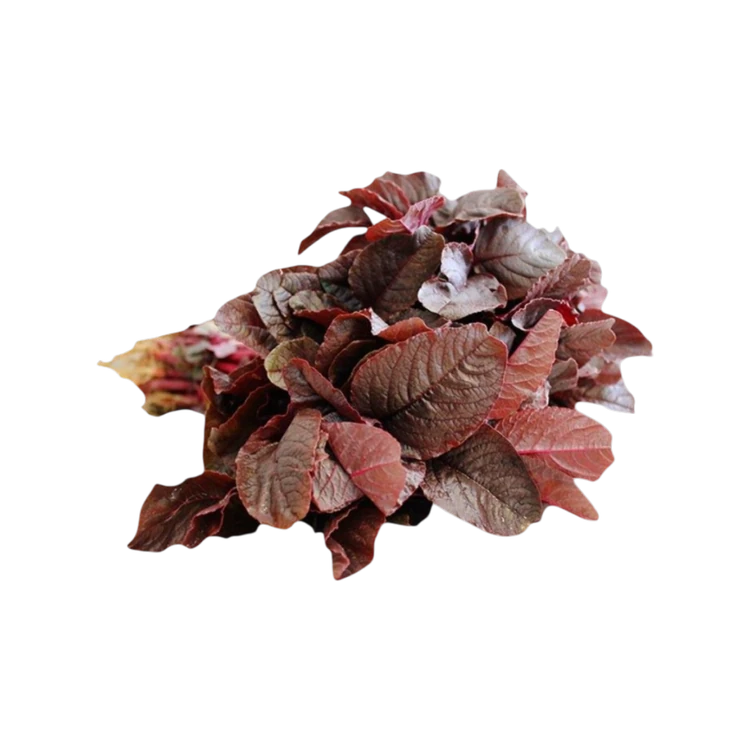 Red Amaranthus Leaves (Without Roots)