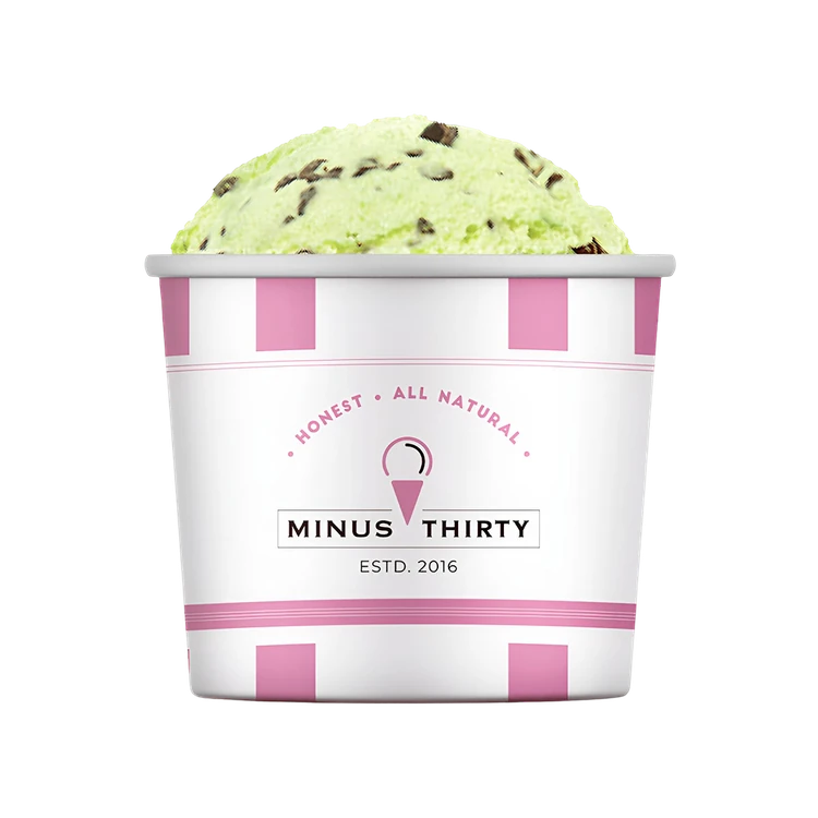 Minus Thirty Mint Chocolate Chip Vegan Ice Cream Cup (Sugar Free)