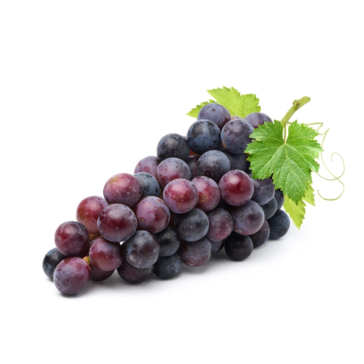 Black Grapes (Kappu Drakshigalu)