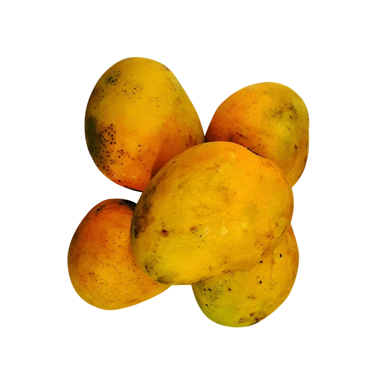 Himsagar Mango (Maavina Hannu)
