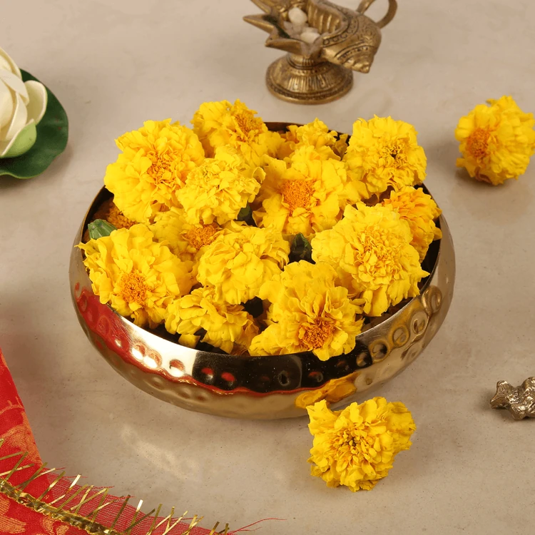 Yellow Marigold (Chandu Hoovu)