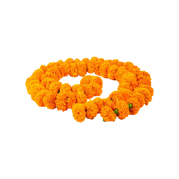 Marigold Flower String / Garland Special Offer