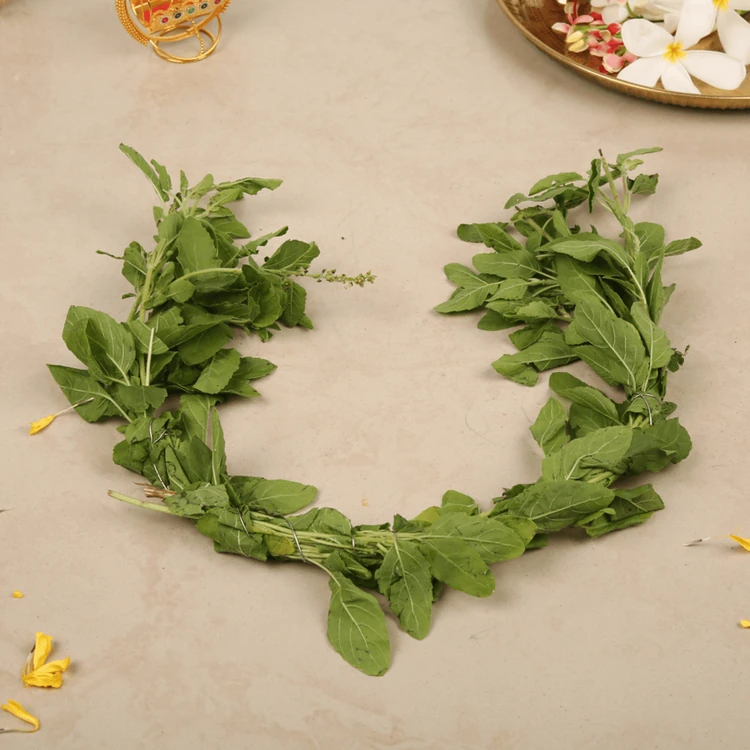 Tulsi Leaves String (Yelegala Male)
