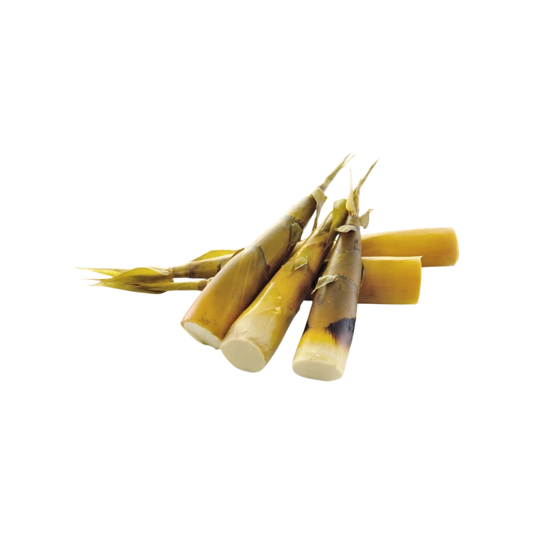 Bamboo Shoots