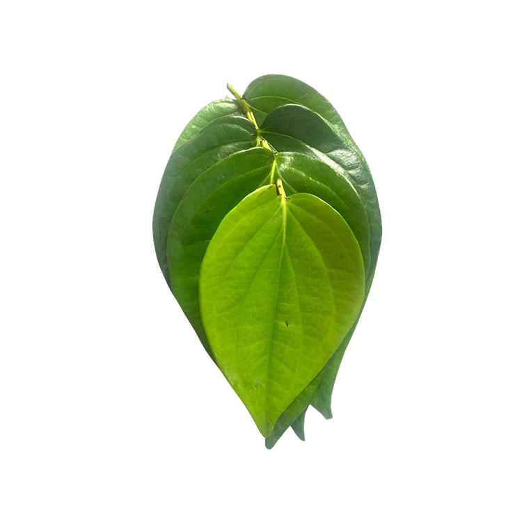 Betel Leaves - Special Offer