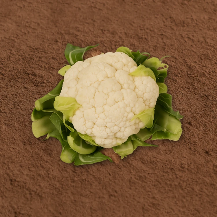 Organically Grown Cauliflower - 400 g (Hoo Kosu)