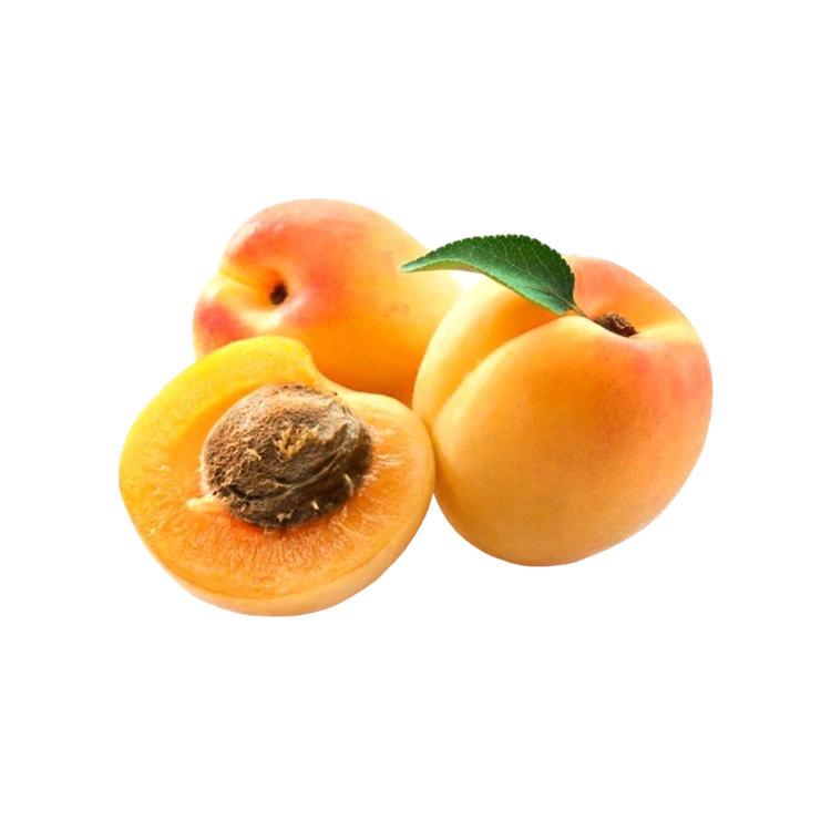 Fresh Apricots - Ladakh