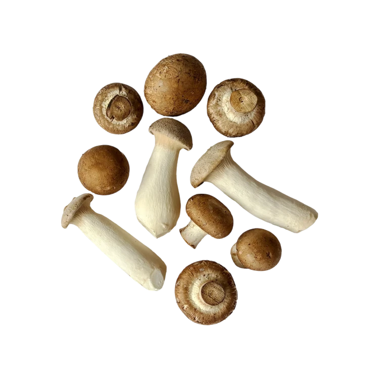 Mushroom Mix for Italian - Cremini, King Trumpet (Anabe)