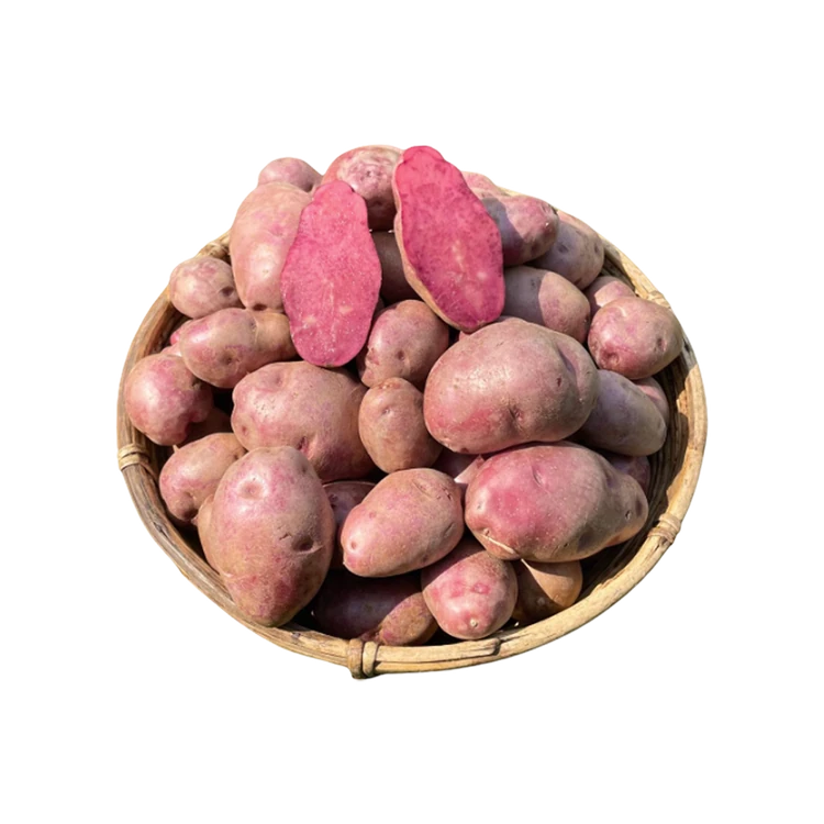 Krishi Cress Mulberry Purple Potato (Alugadde)