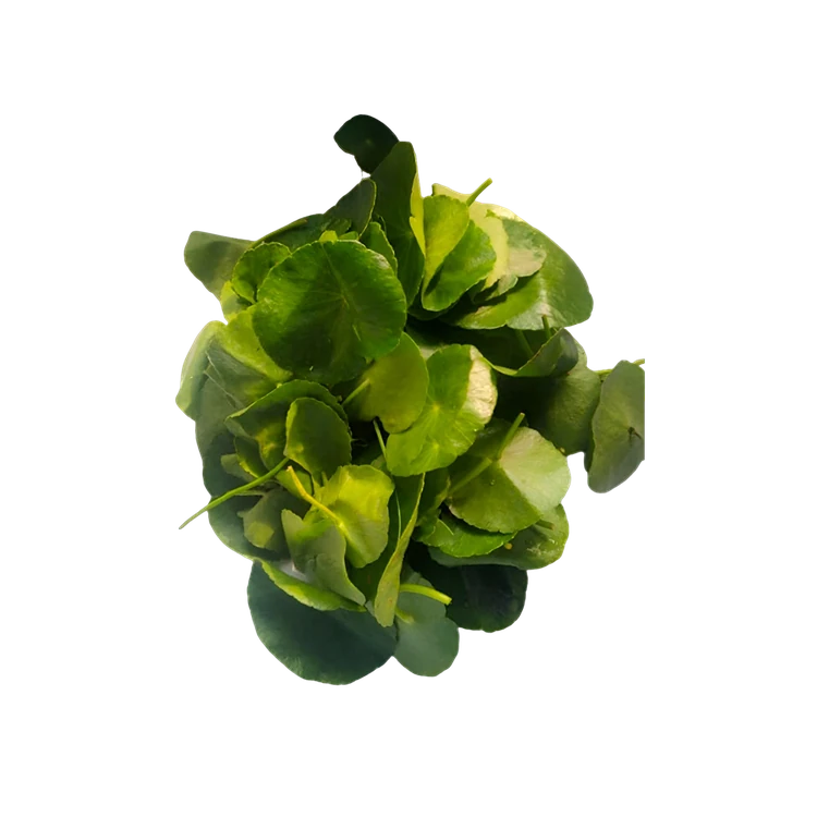 Vallarai Keerai (Vallarai Soppu)