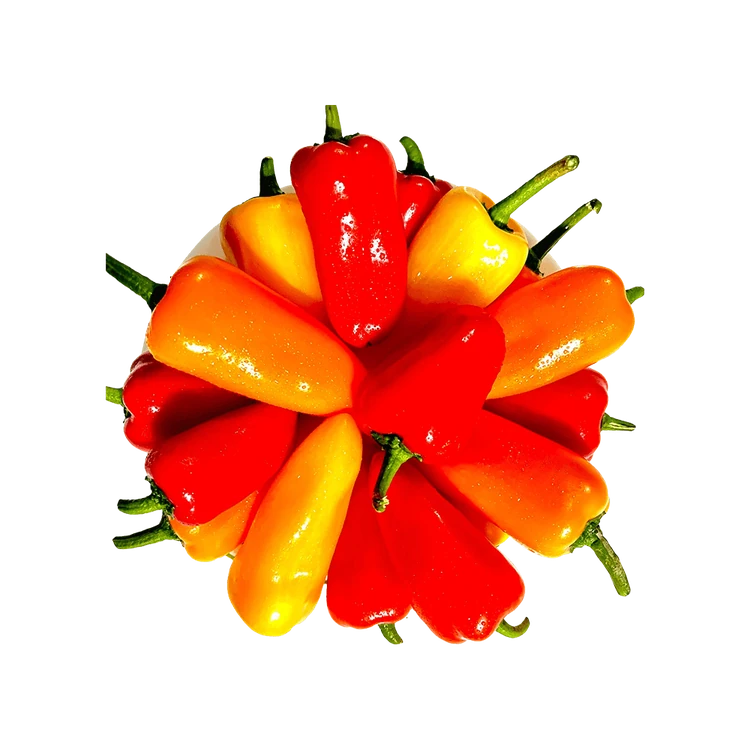 Snack Bell Pepper by Sn!bs (Haladi Dappa Menasina Kaayi)