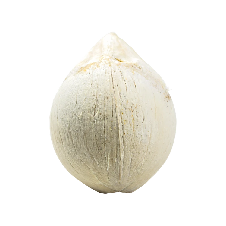Premium Tender Coconut with Malai (Elaneer) (Thengina Kayi)