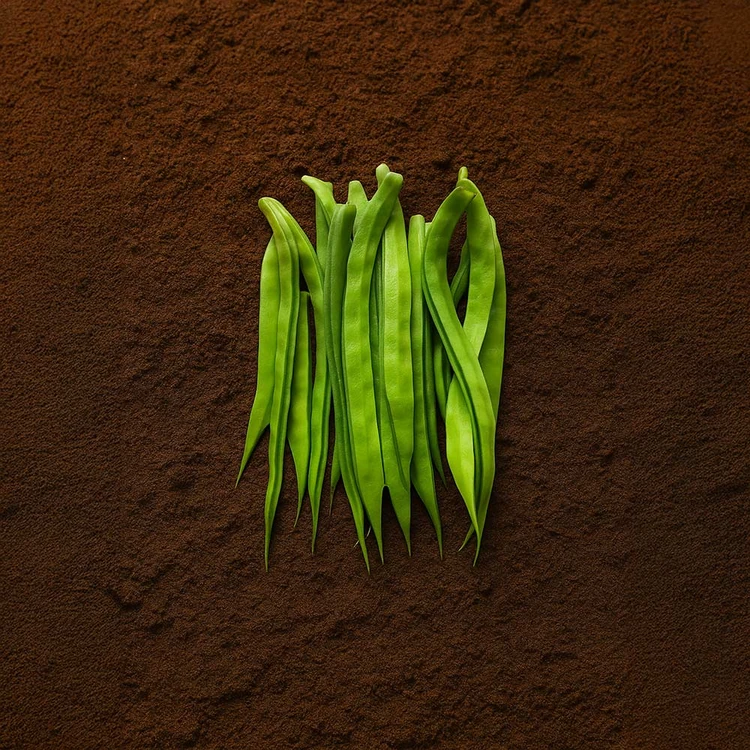 Organically Grown Cluster Beans - 250 g