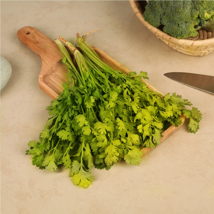 Coriander Bunch (Kottambari Soppu)
