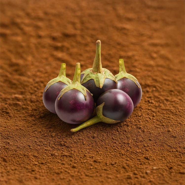 Organically Grown Small Purple Brinjal - 500 g