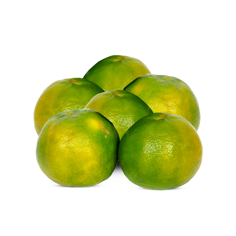 Baby Orange (Kittale Hannu)