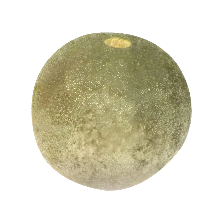 Wood Apple (Belada Hannu)