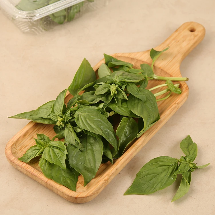 Basil Leaves (Tulasi Yelegalu)