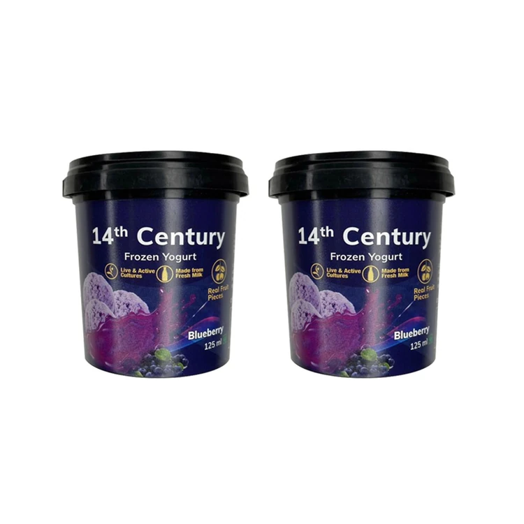 14th Century Blueberry Frozen Yogurt - Pack of 2