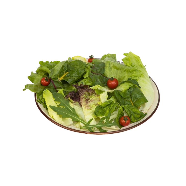 Salad Gourmet Mix