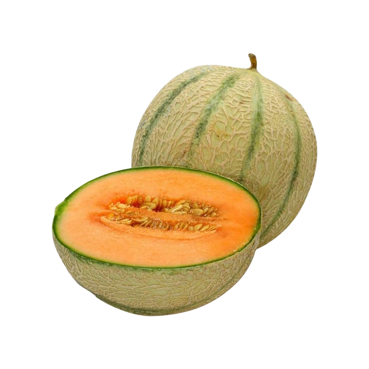Striped Muskmelon (Karbuja)
