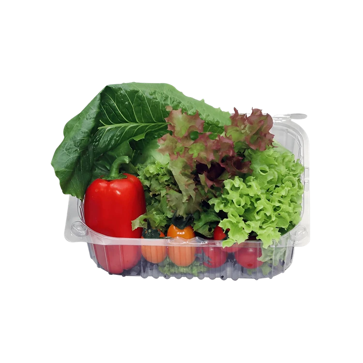 Exotic Vegetable Salad - Hydroponically Grown (Tarakari Salad)