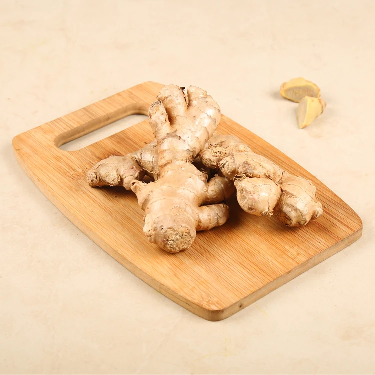 Ginger (Shunti)