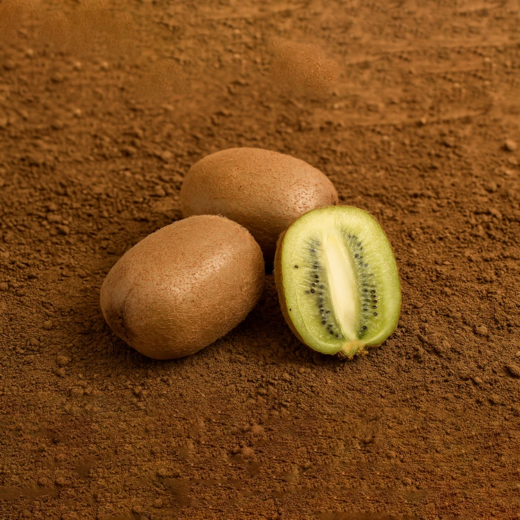 Organically Grown Green Kiwi - 3 pieces (200-250 g) (Kiwi Hannu)