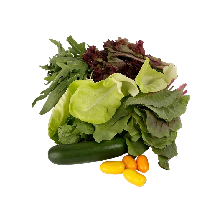 Hearty Autumn Leafy Veggie Mix - Hydroponically Grown (Tarkari Mix)