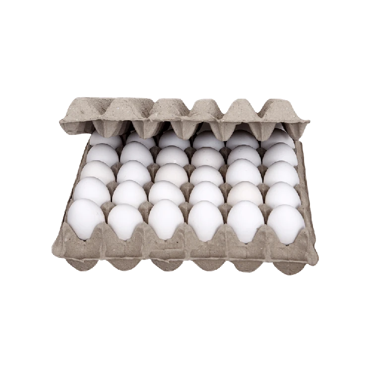 Egg First White Protein Rich Eggs