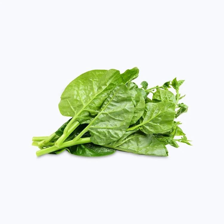 Malabar Spinach (Basale Soppu / Palak Soppu)