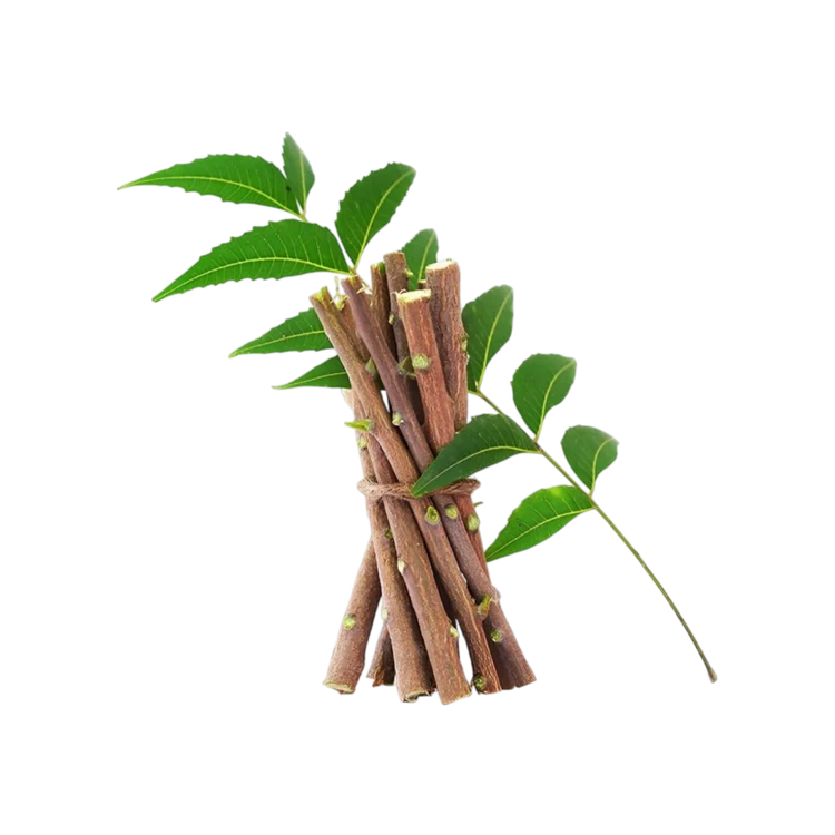 Neem Sticks