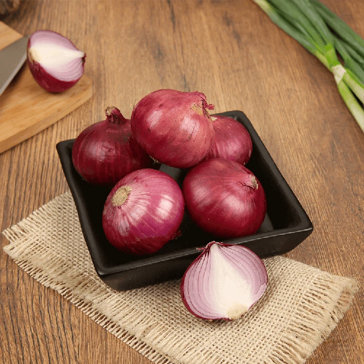 Organically Grown Onion - 500 g