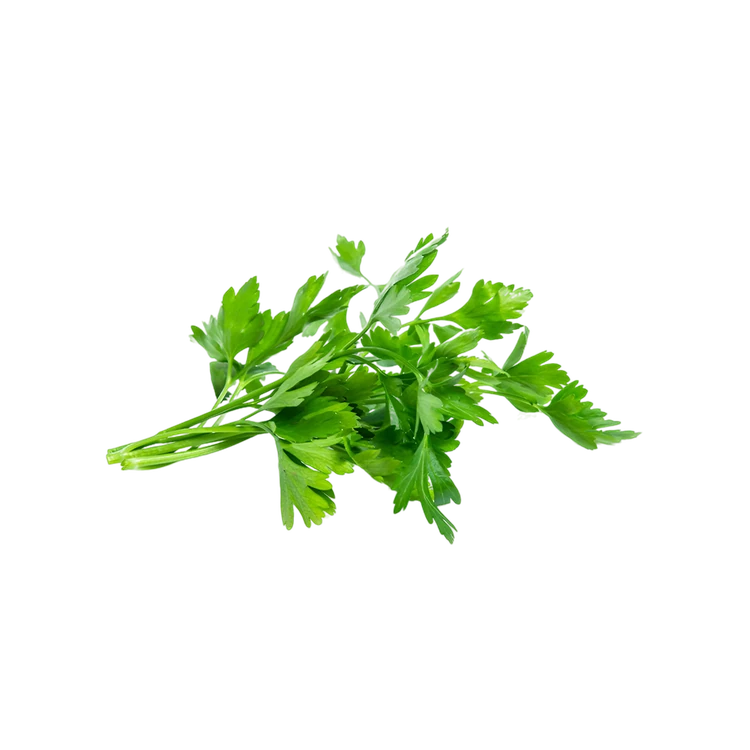 Parsley - Hydroponically Grown