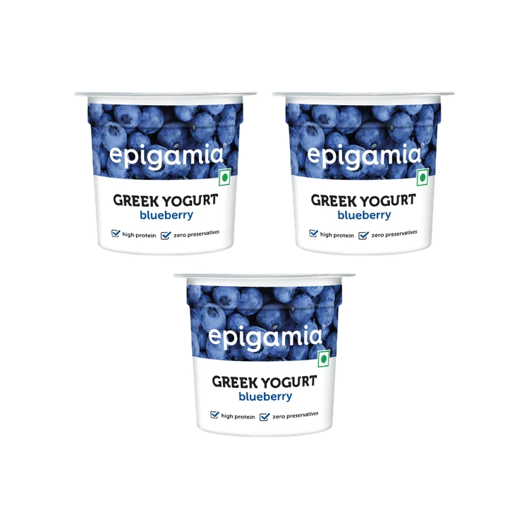 epigamia Blueberry Yogurt - Pack of 3
