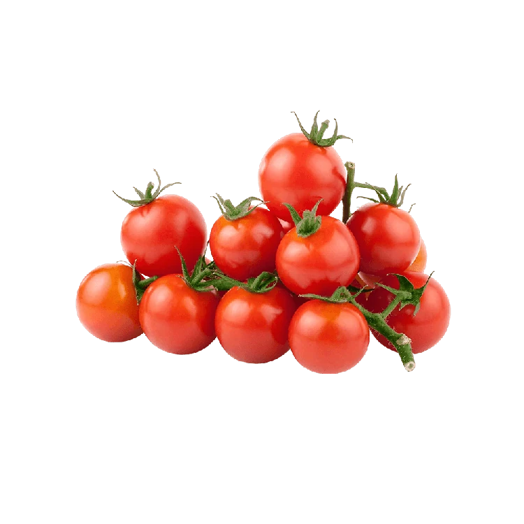 Hydroponically Grown Cherry Tomatoes
