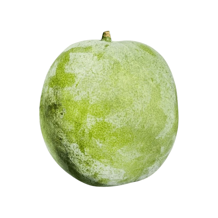 Organically Grown Ash Gourd - 1 piece (0.9-1.5 kg)