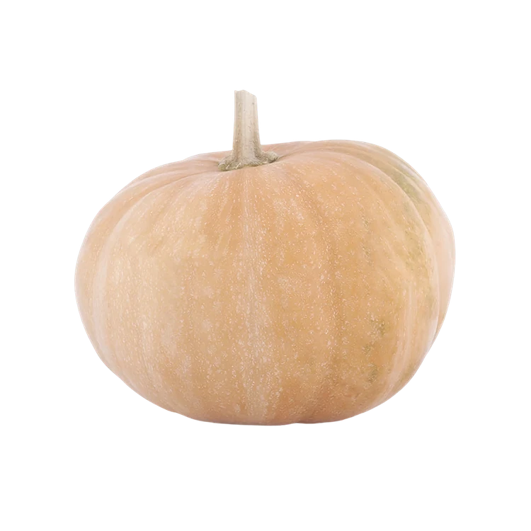 Pumpkin For Halloween (Kumbalakayi)