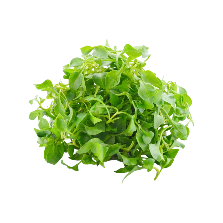 Watercress