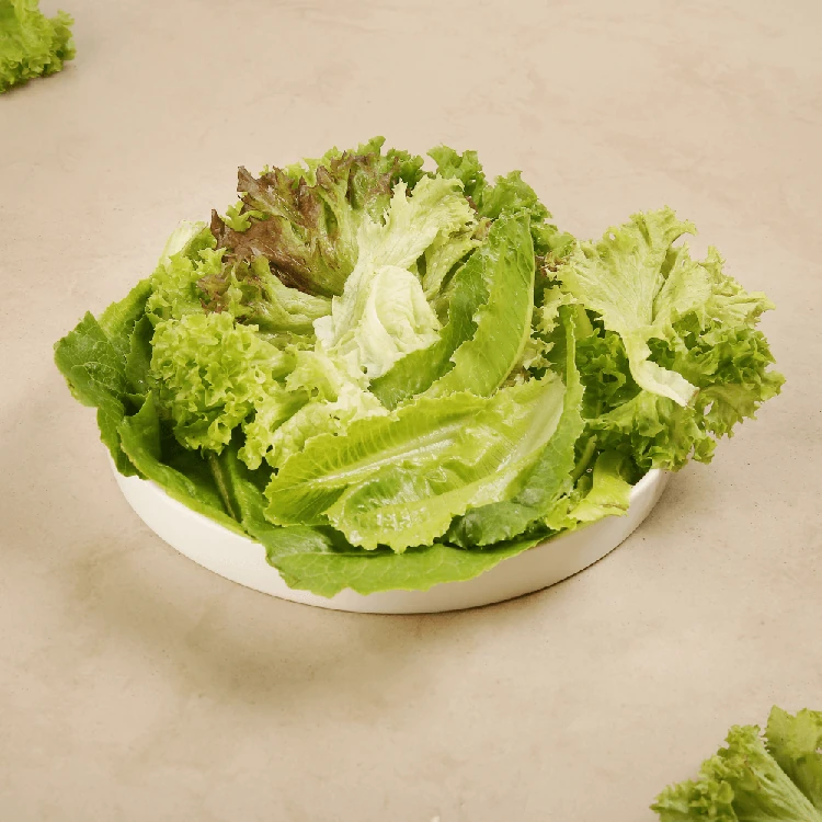 Lettuce Box - Hydroponically Grown (Letis Soppu)