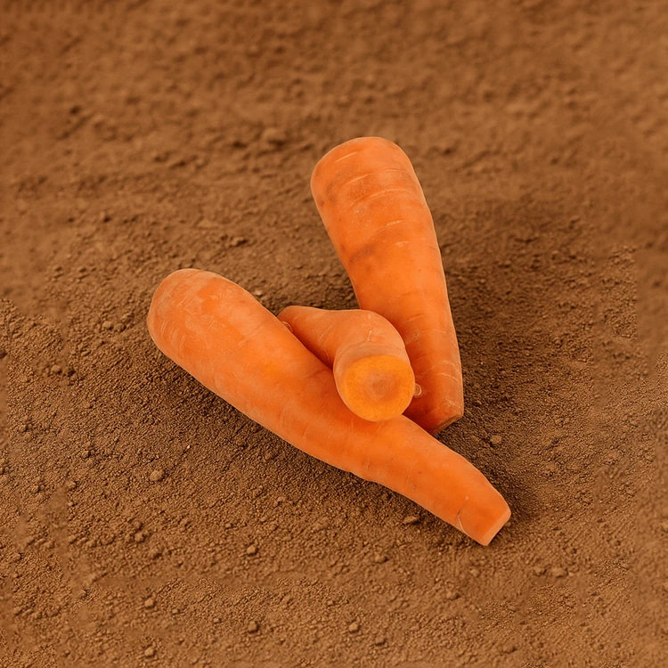 Organically Grown Orange Carrot - 500 g