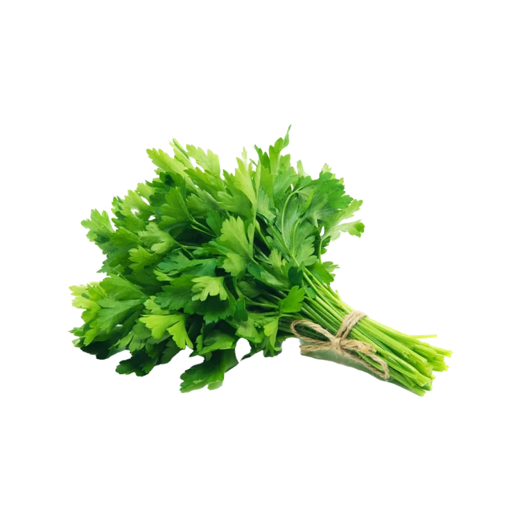 Coriander - Greenhouse grown by Deep Rooted (Kottambari Soppu)