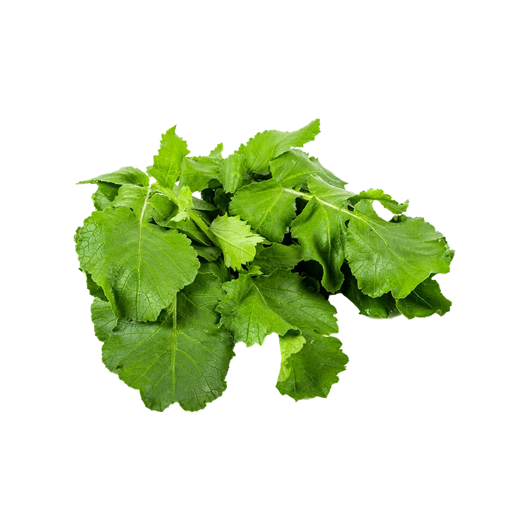 Radish Leaves