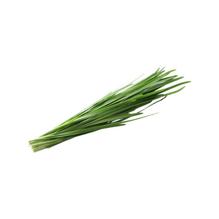 Garlic Chives